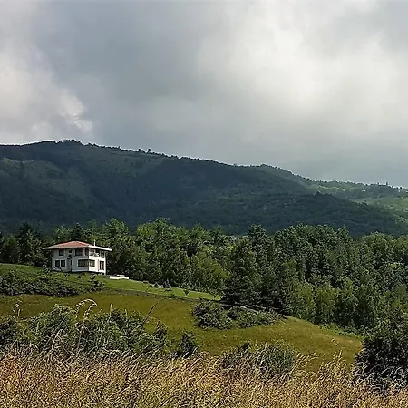 Infinity Villa